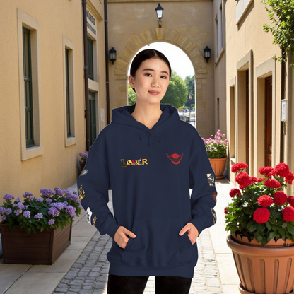 Medieval Themed Hoodie, Knights and Dragon Fans, Unisex Sweatshirt, Cosplay Costume