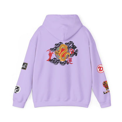 Dragon Ninja Themed Graphic Unisex  Hoodie