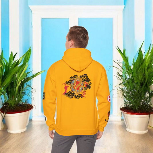 Dragon Ninja Themed Graphic Unisex  Hoodie