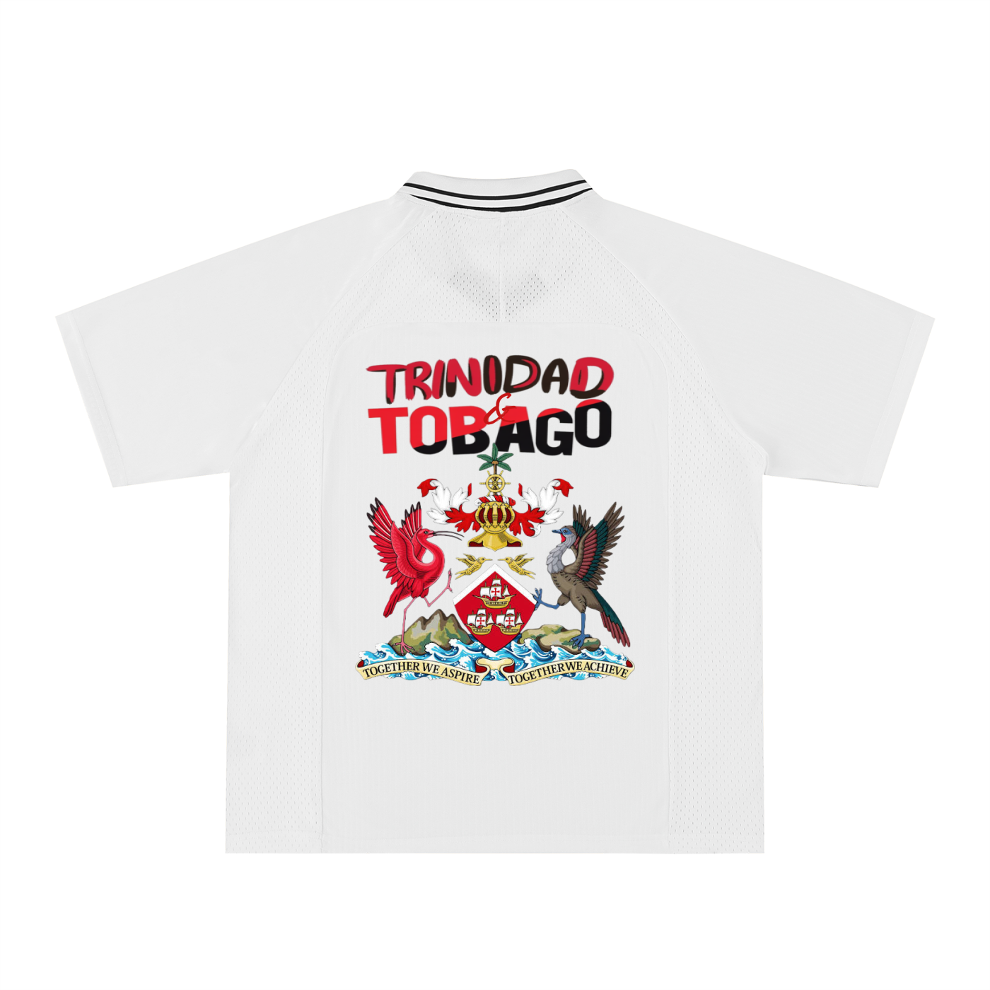 Unisex Trinidad Flag Themed Graphic Striped V-Neck Soccer Jersey