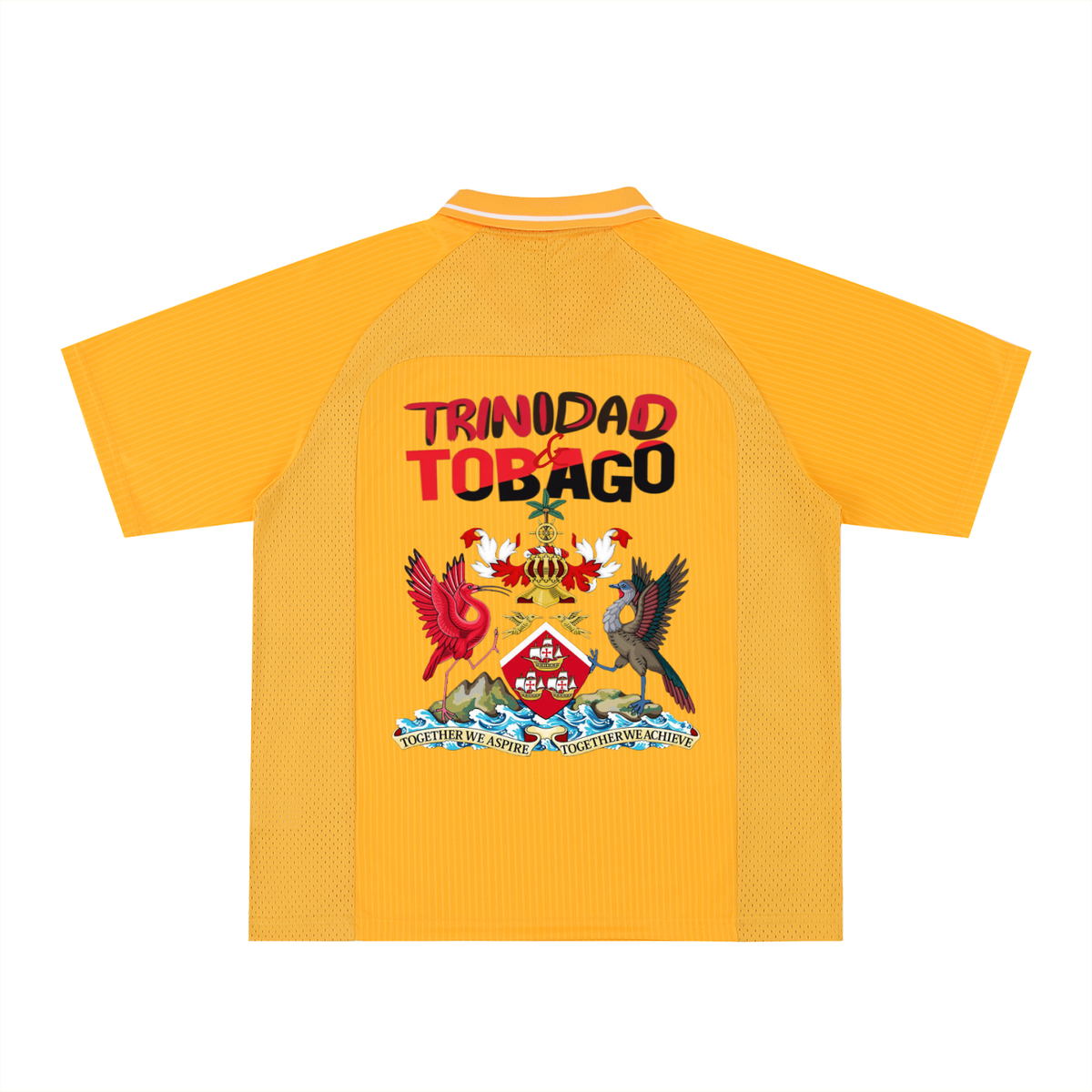 Unisex Trinidad Flag Themed Graphic Striped V-Neck Soccer Jersey