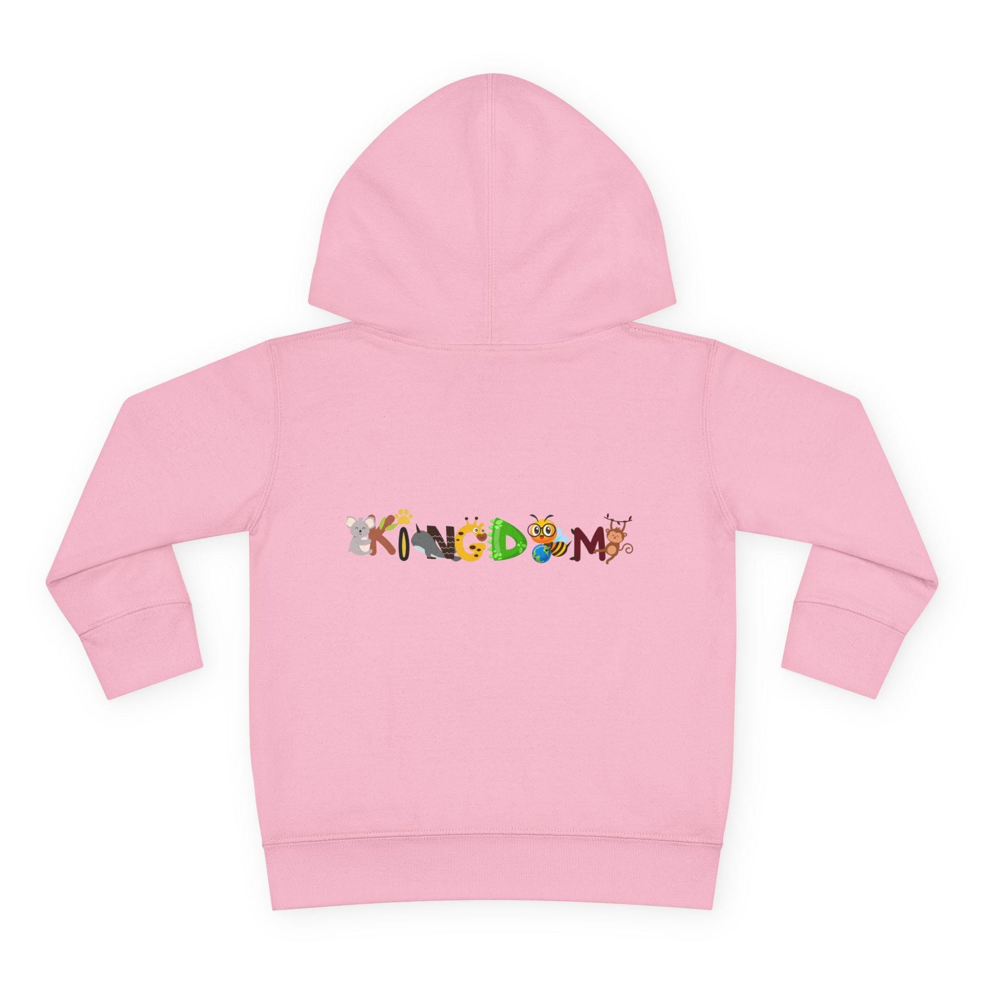 Ocean Friends Toddler Pullover Fleece Hoodie, Aquatic Theme Sweatshirt for Kids, Sea Animal Graphic Jumper, Orca Dolphin Children's Hooded